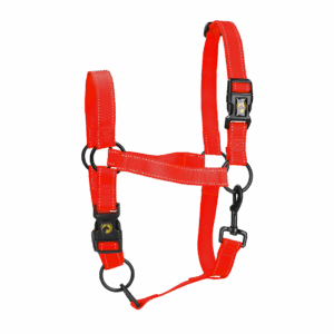 Excellent Premium Halster Rood XL