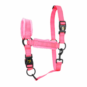 Excellent Superior Halster Roze XS