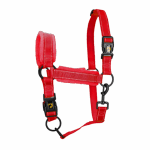 Excellent Superior Halster Rood XL