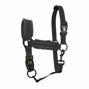 Excellent Superior Halster Zwart XL