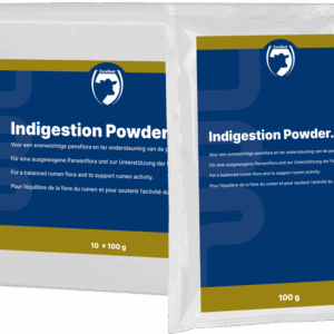 Excellent Indigestie Poeder 10 x 100 g