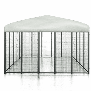 Cucciolotta Polly Run Kippenren