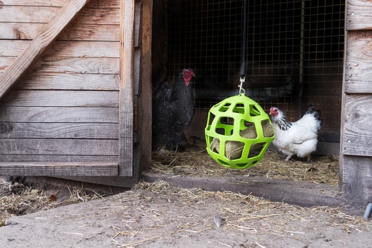 Lax Pikblok voor Legkippen 3,5 kg 2026 Lax Pikblok voor Legkippen 3,5 kg - Afbeelding 4