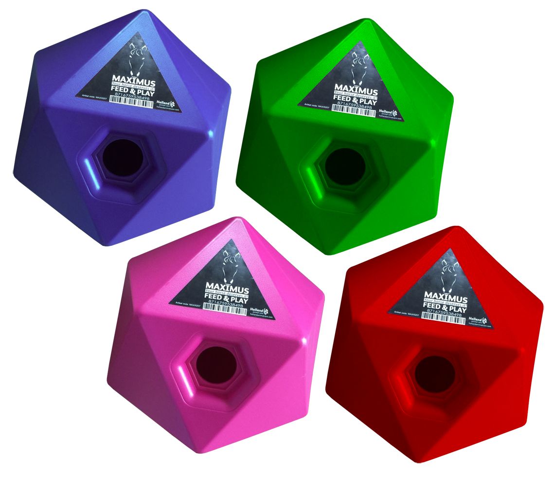 Maximus Feed & Play Groen 2026 Maximus Feed & Play Groen - Afbeelding 2