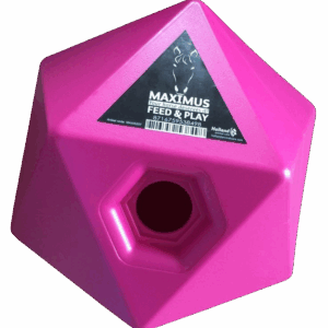 Maximus Feed & Play Roze