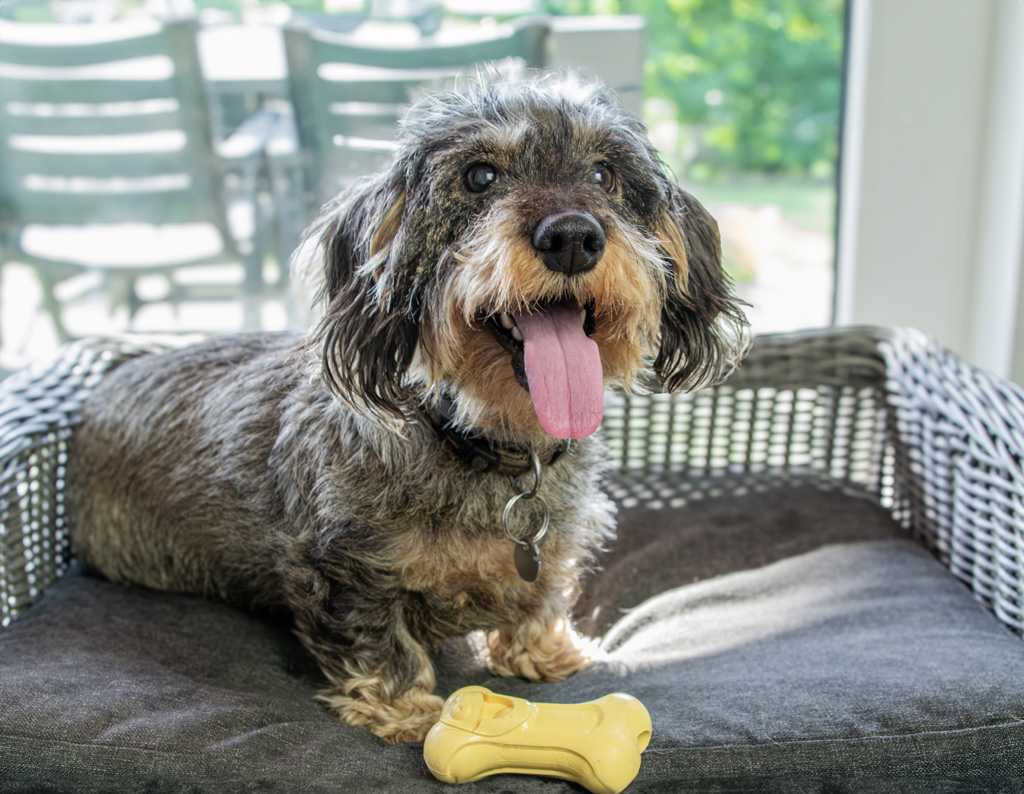 Moodies Joyful Lee 2026 Moodies Joyful Lee - Afbeelding 4