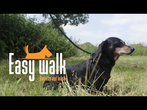 Easy Walk Schoudermodel Zwart - Regular 2026 Easy Walk Schoudermodel Zwart - Regular - Afbeelding 4