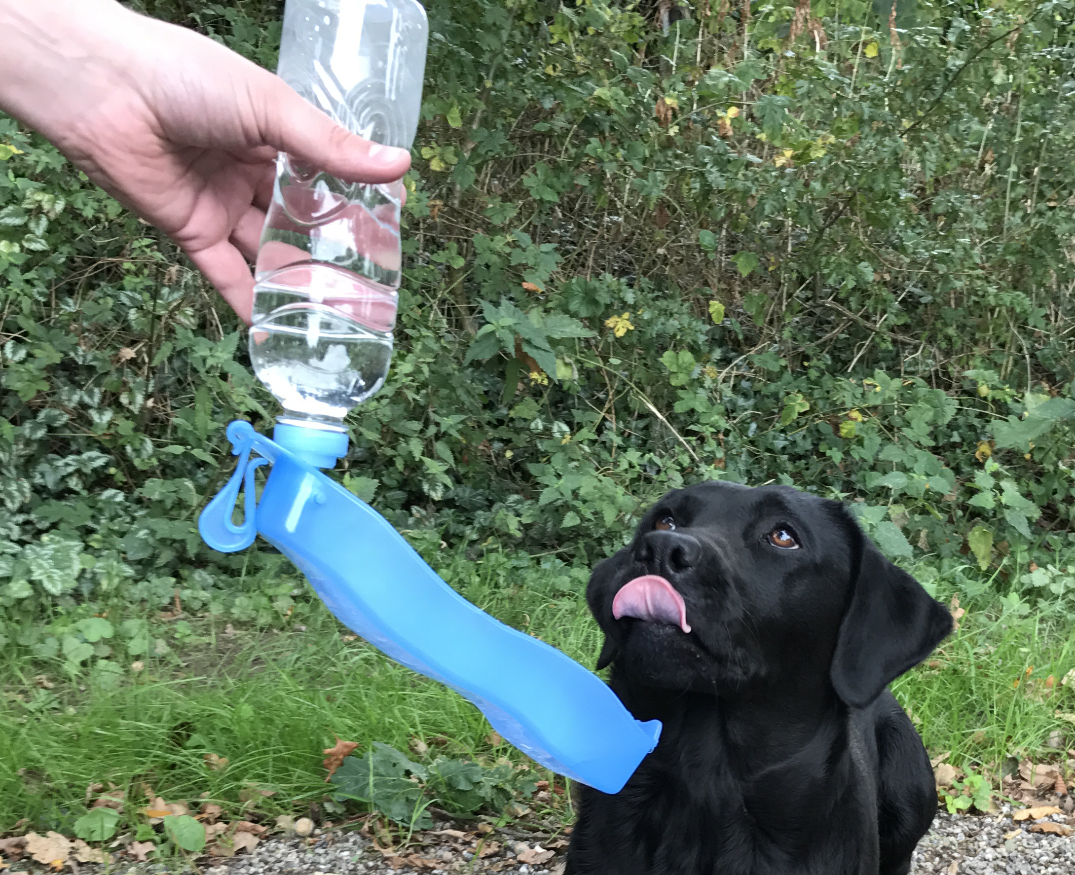 Pawise Travel Bottle 500 ml 2026 Pawise Travel Bottle 500 ml - Afbeelding 5