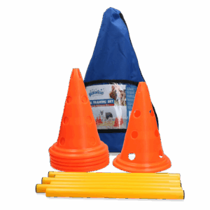 Pawise Dog Agility Training Set
