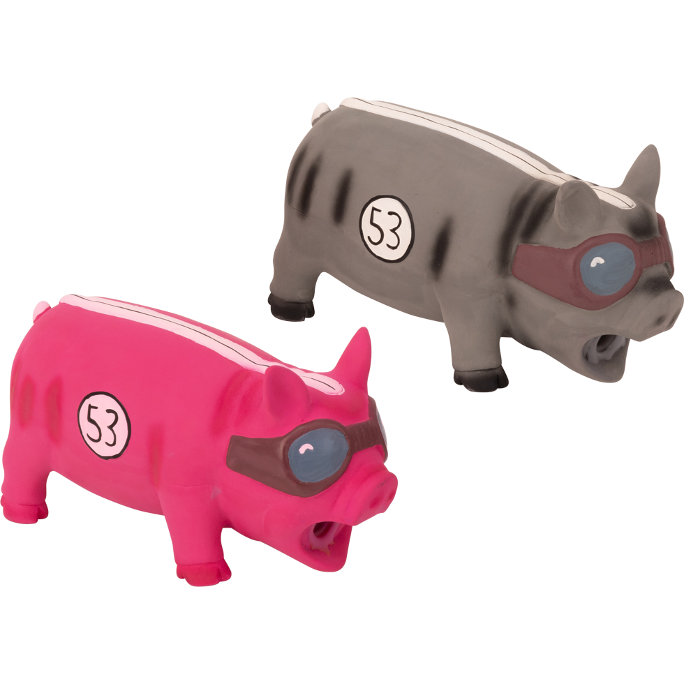 Pawise Latex Pig Boss 2026 Pawise Latex Pig Boss