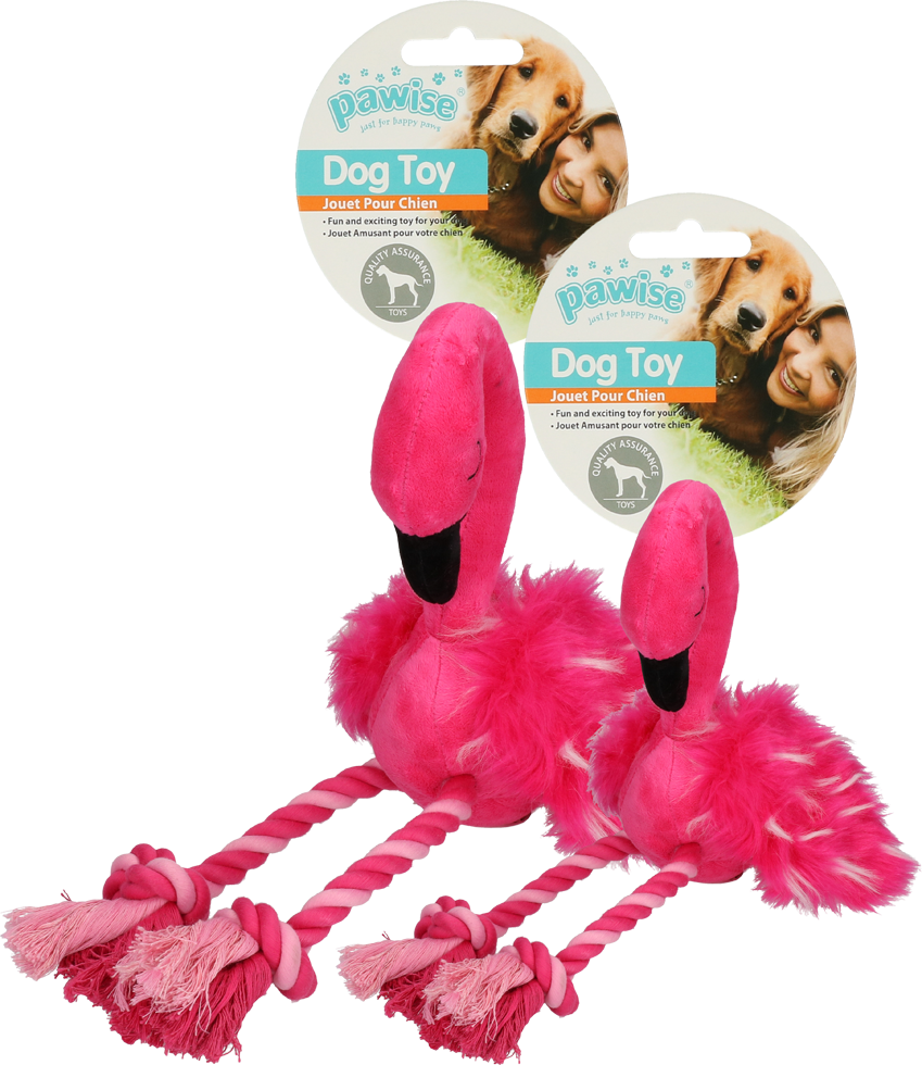 Pawise Flamingo L 2026 Pawise Flamingo L - Afbeelding 3