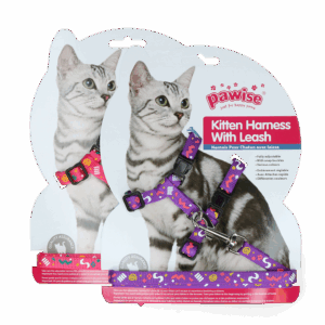 Pawise Kitten Harness With Leash Pink/Purple