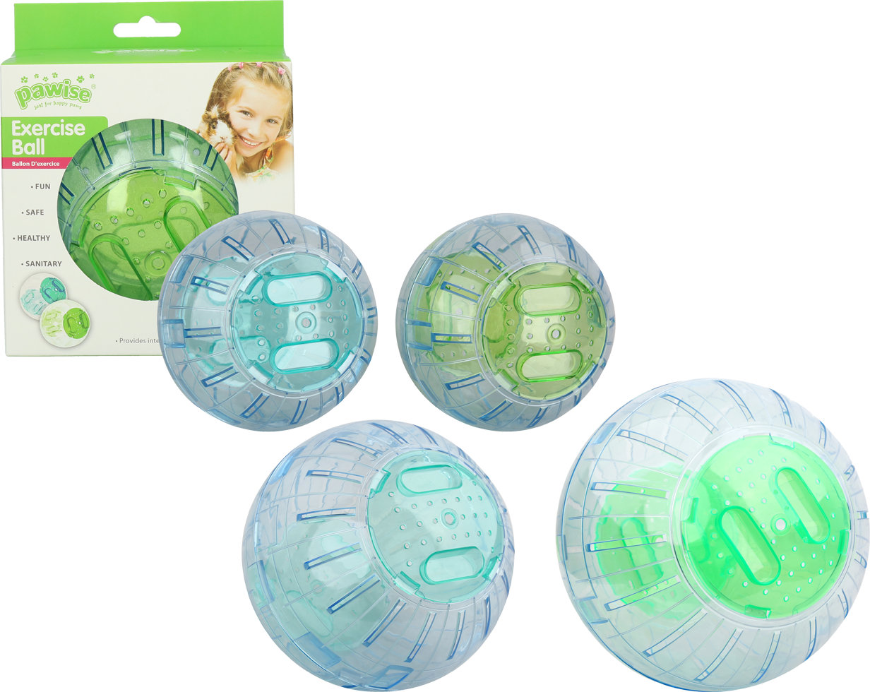 Pawise Exercise Ball L - 25 cm 2026 Pawise Exercise Ball L - 25 cm - Afbeelding 2