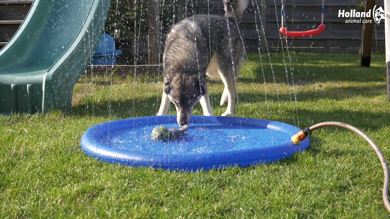 CoolPets Splash Pool Water Sprinkler 100 cm 2026 CoolPets Splash Pool Water Sprinkler 100 cm - Afbeelding 2