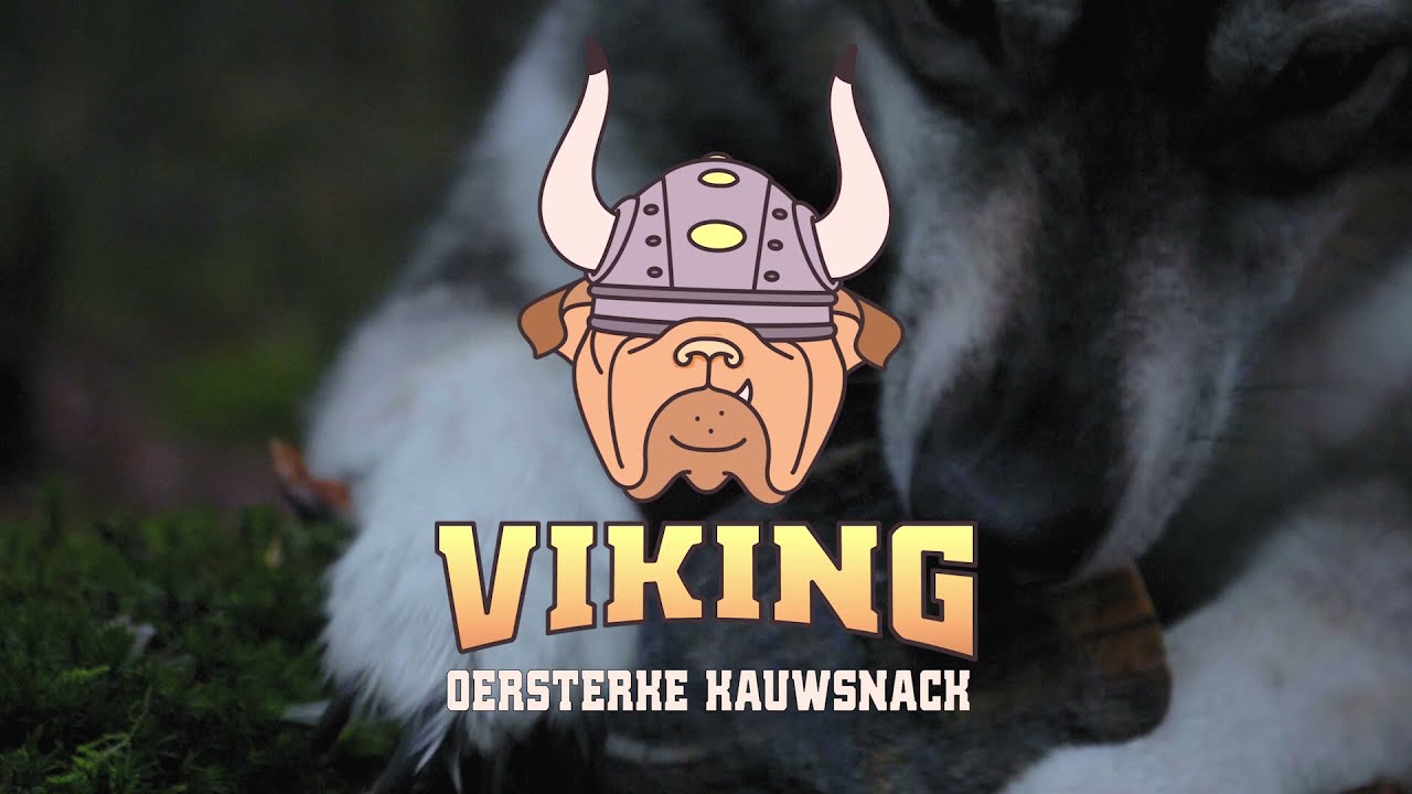 Viking Horn Twist S 2026 Viking Horn Twist S - Afbeelding 2