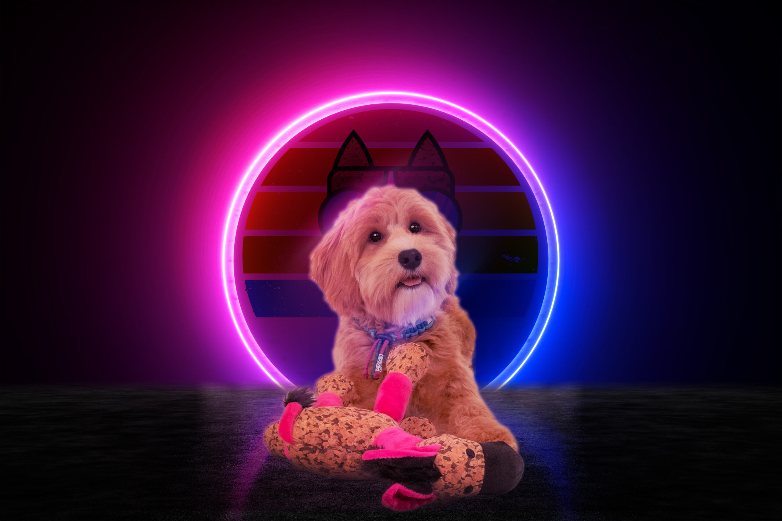 Retrodog Donkey Roze S 2026 Retrodog Donkey Roze S - Afbeelding 3