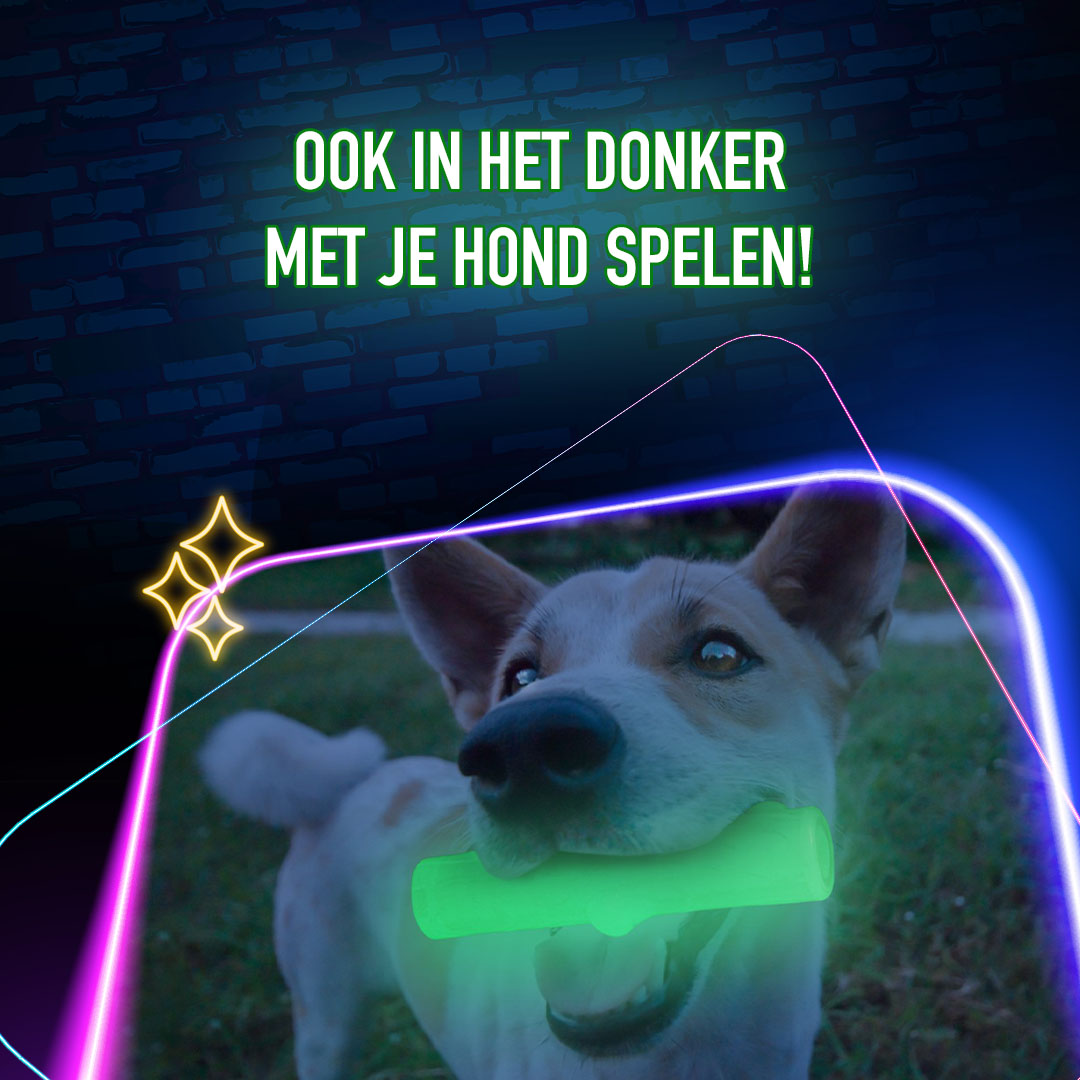 2 Glow Treat Bone of it's Own 2026 2 Glow Treat Bone of it's Own - Afbeelding 5