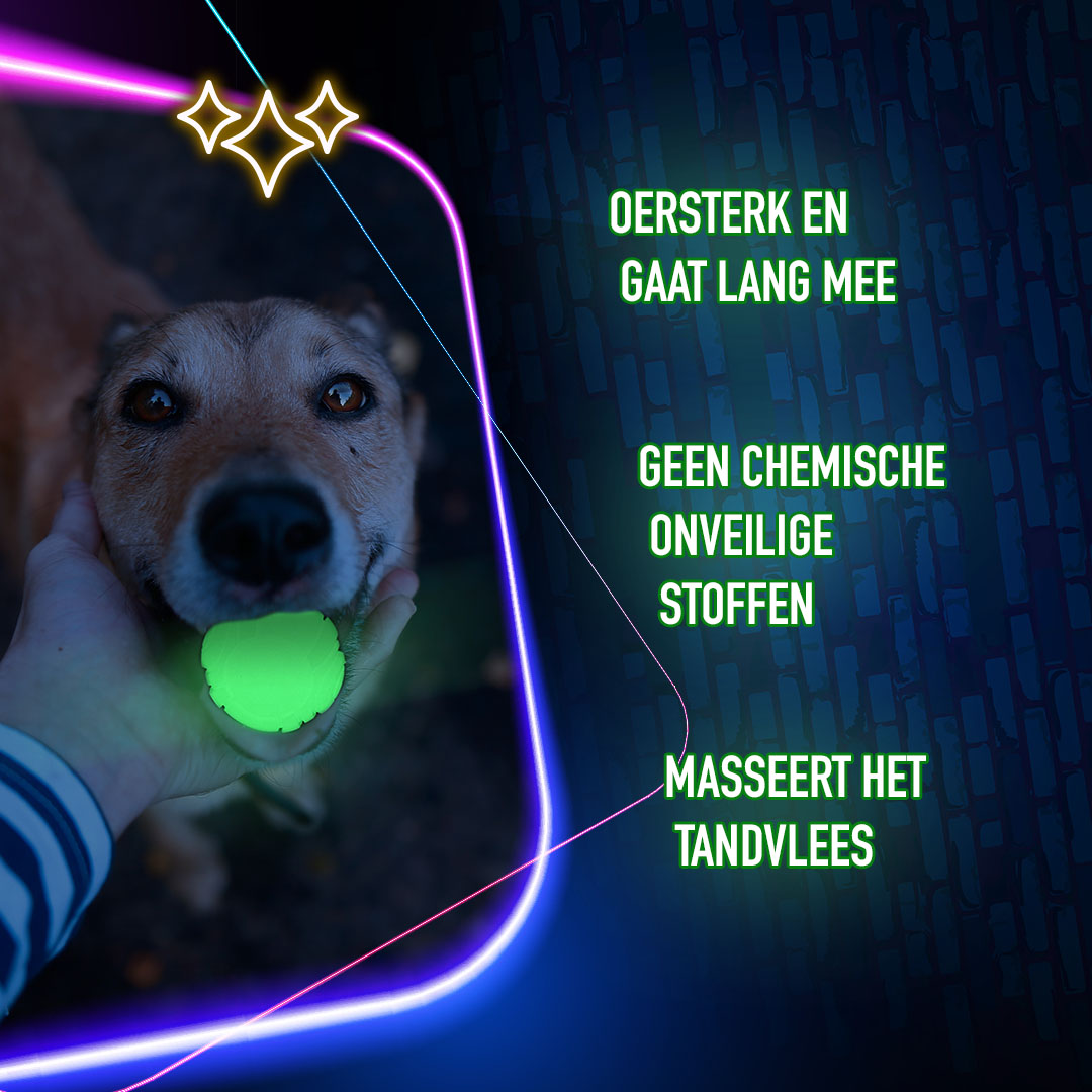 2 Glow Treat Bone of it's Own 2026 2 Glow Treat Bone of it's Own - Afbeelding 6