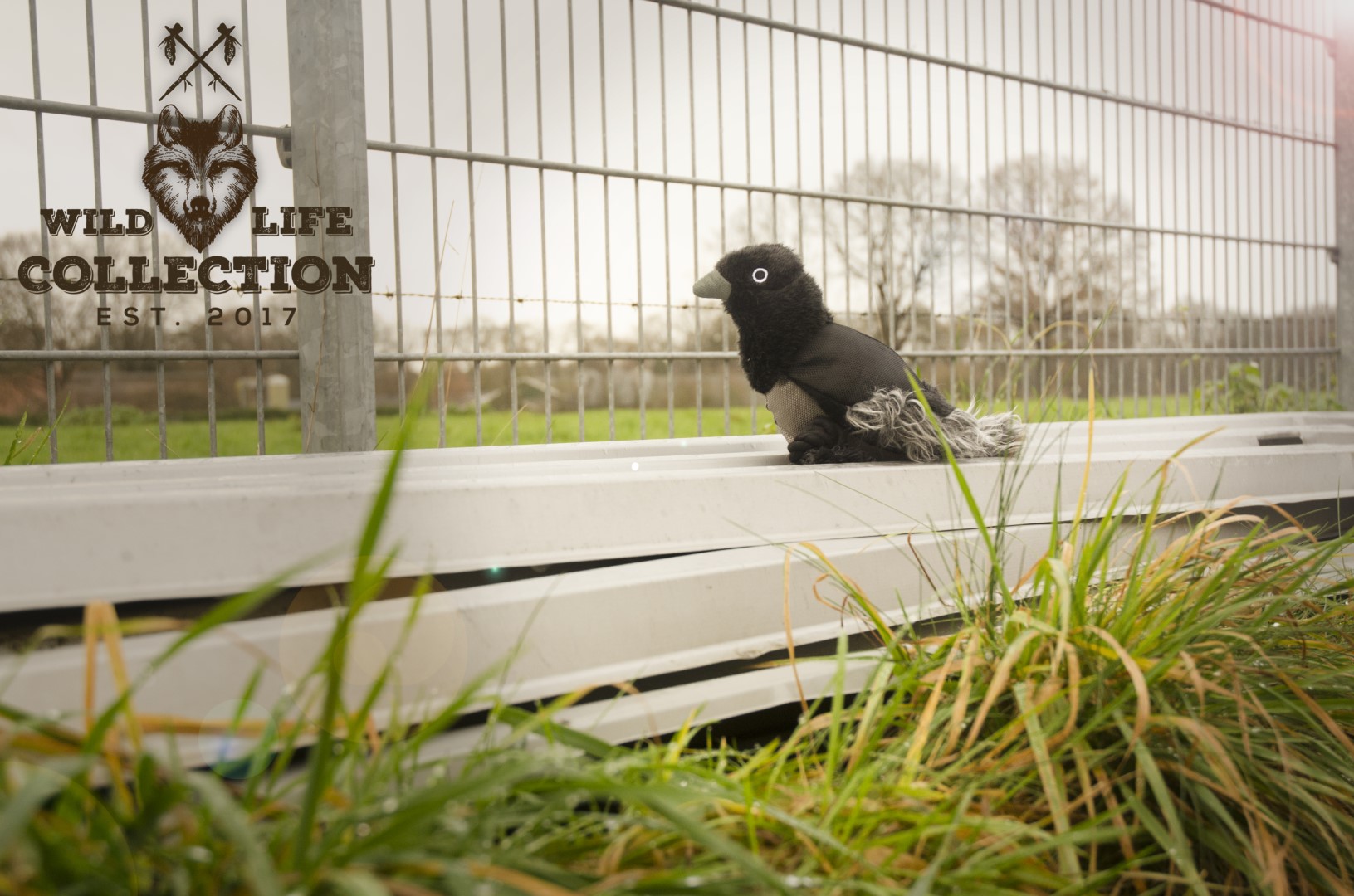 Wild Life Dog Raaf 2026 Wild Life Dog Raaf - Afbeelding 3