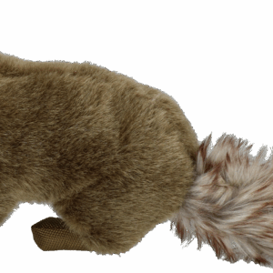 Wild Life Dog Marter