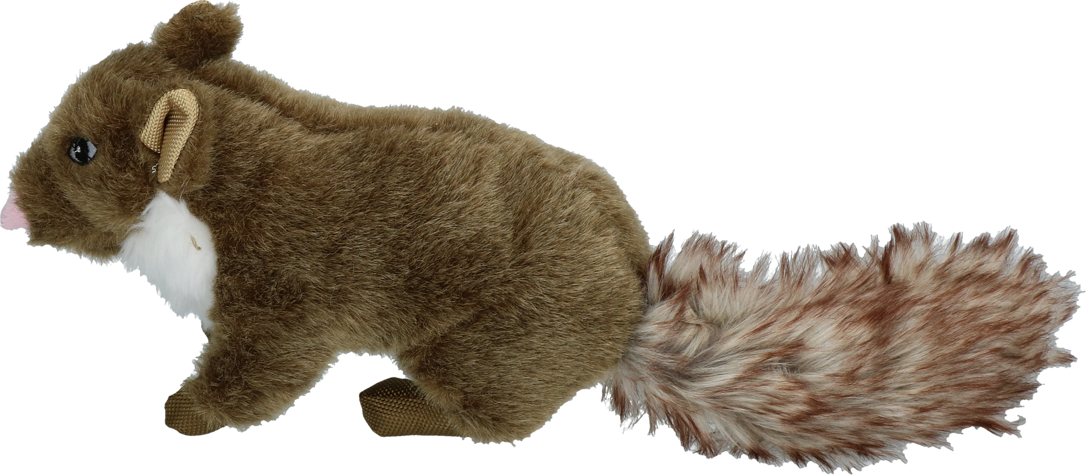 Wild Life Dog Marter 2026 Wild Life Dog Marter