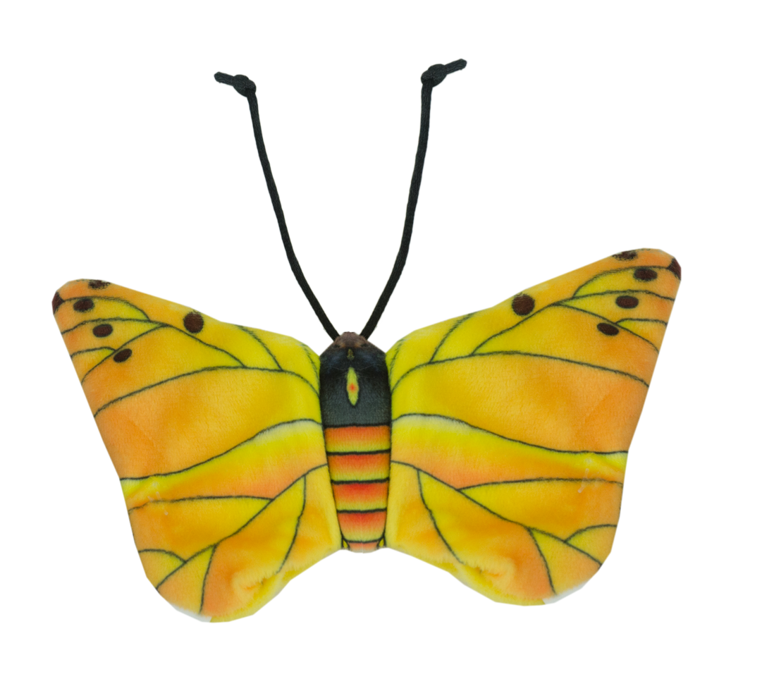 Wild Life Cat Gele vlinder 2026 Wild Life Cat Gele vlinder - Afbeelding 2