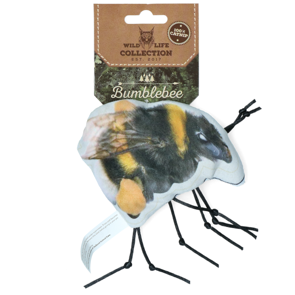 Wild Life Cat Hommel 2026 Wild Life Cat Hommel