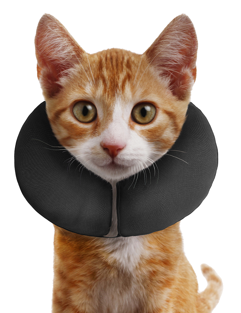 Zenpet ProCollar XS 2026 Zenpet ProCollar XS - Afbeelding 3