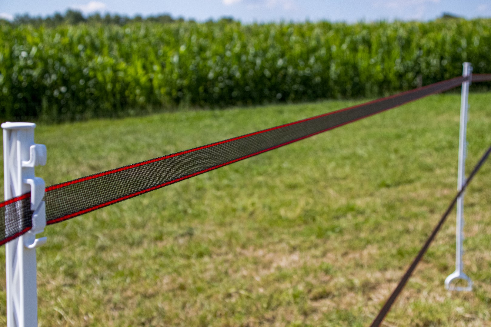 ZoneGuard 40 mm Plus afrasteringslint bruin 200 m 2026 ZoneGuard 40 mm Plus afrasteringslint bruin 200 m - Afbeelding 2