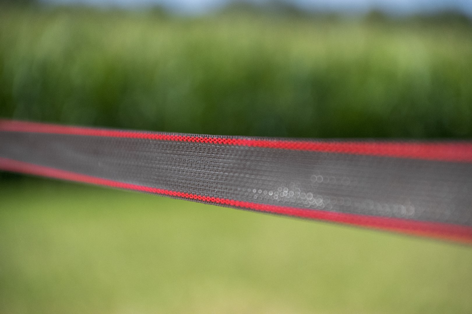 ZoneGuard 40 mm Plus afrasteringslint bruin 200 m 2026 ZoneGuard 40 mm Plus afrasteringslint bruin 200 m - Afbeelding 4