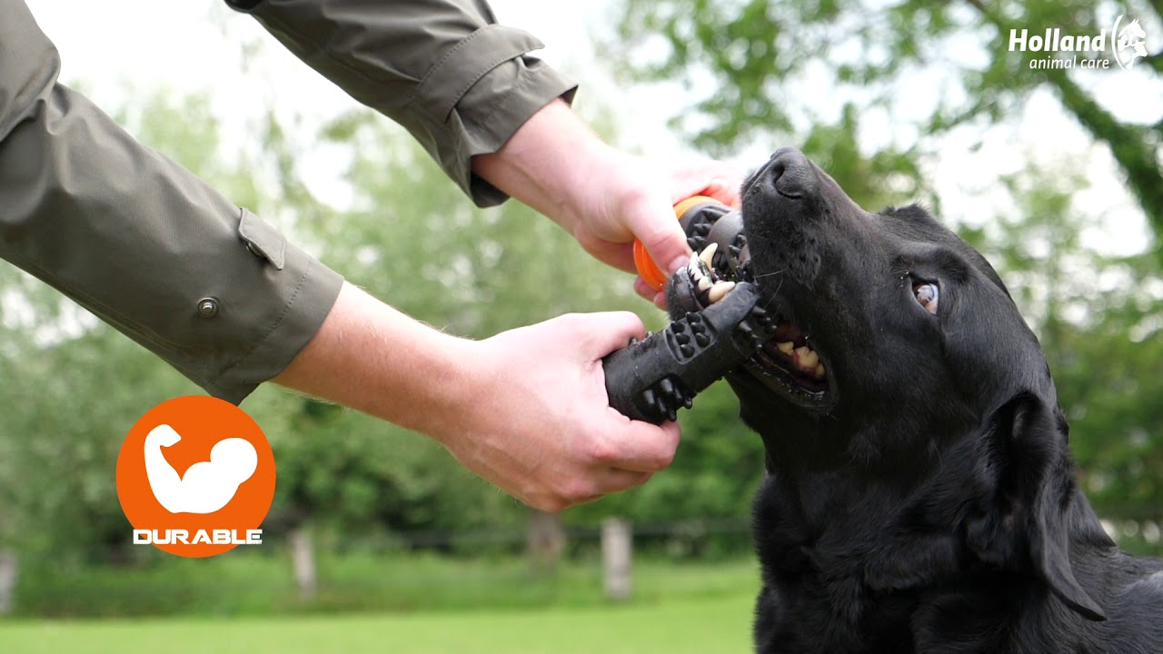 Dog Comets Meteor Werpstok Groen L 2026 Dog Comets Meteor Werpstok Groen L - Afbeelding 6