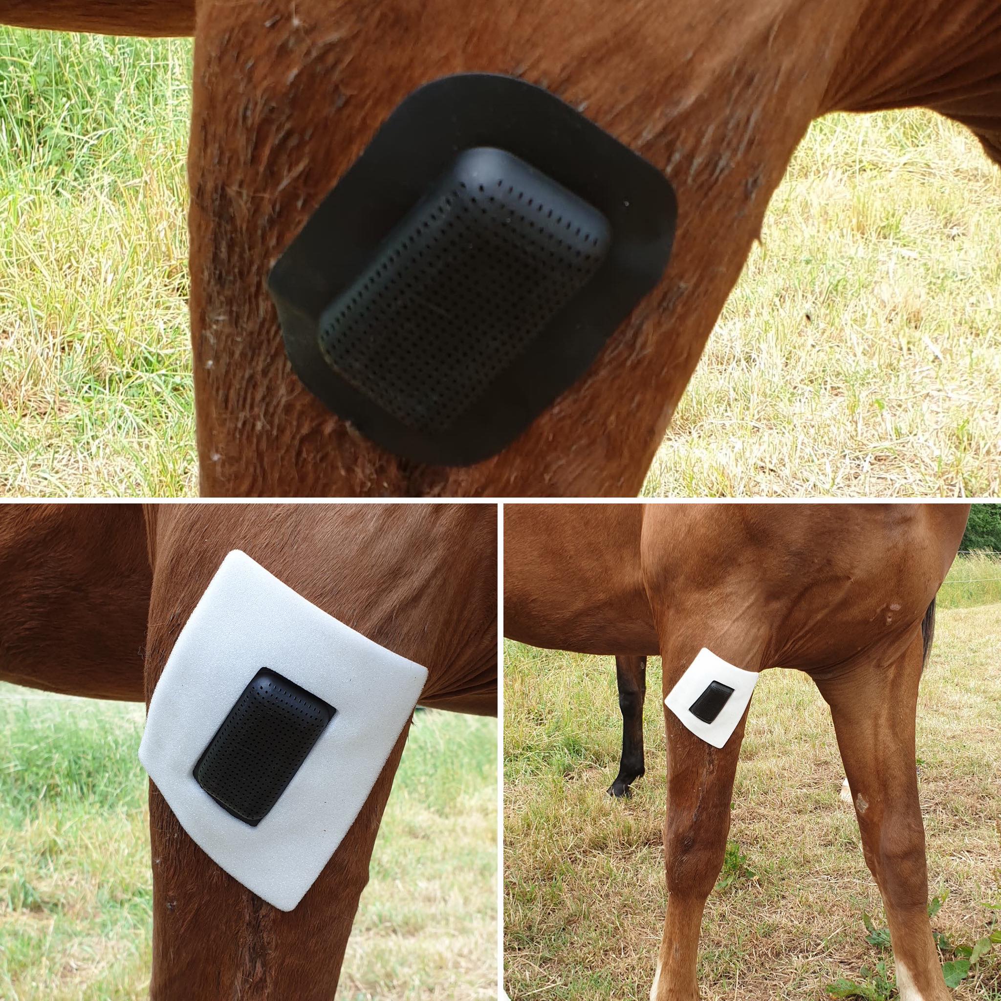 Rheva Combo Wondbescherming 2026 Rheva Combo Wondbescherming - Afbeelding 4